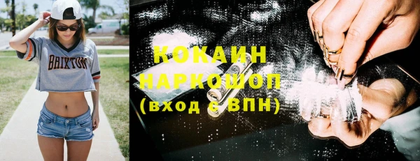 индика Алексеевка