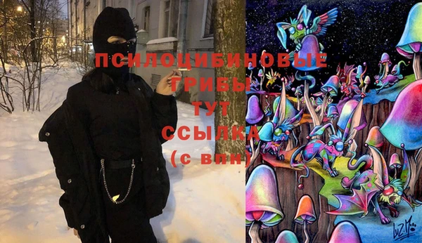 PSILOCYBIN Алексин