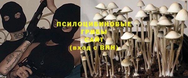 PSILOCYBIN Алексин