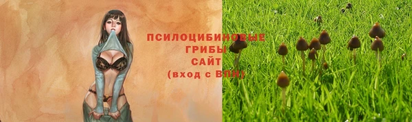 PSILOCYBIN Алексин