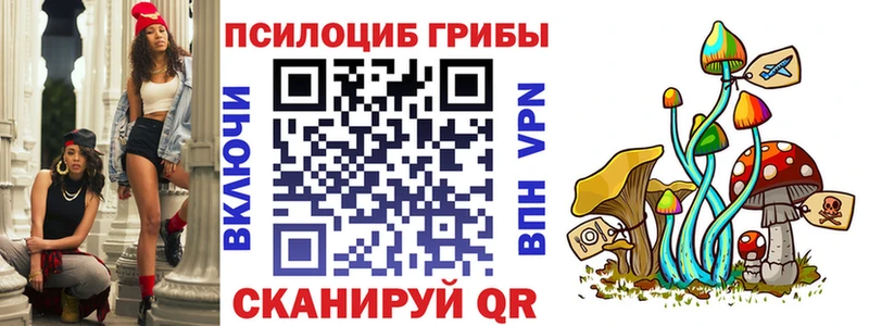 гидра зеркало  Южно-Сухокумск  Галлюциногенные грибы ЛСД 